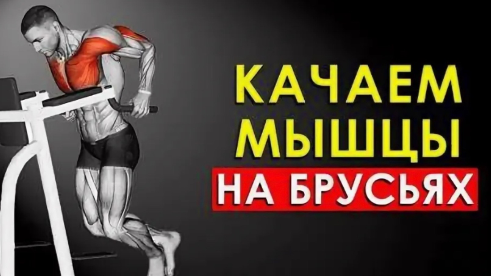 ЧТО ТВОРЯТ БРУСЬЯ 🔥