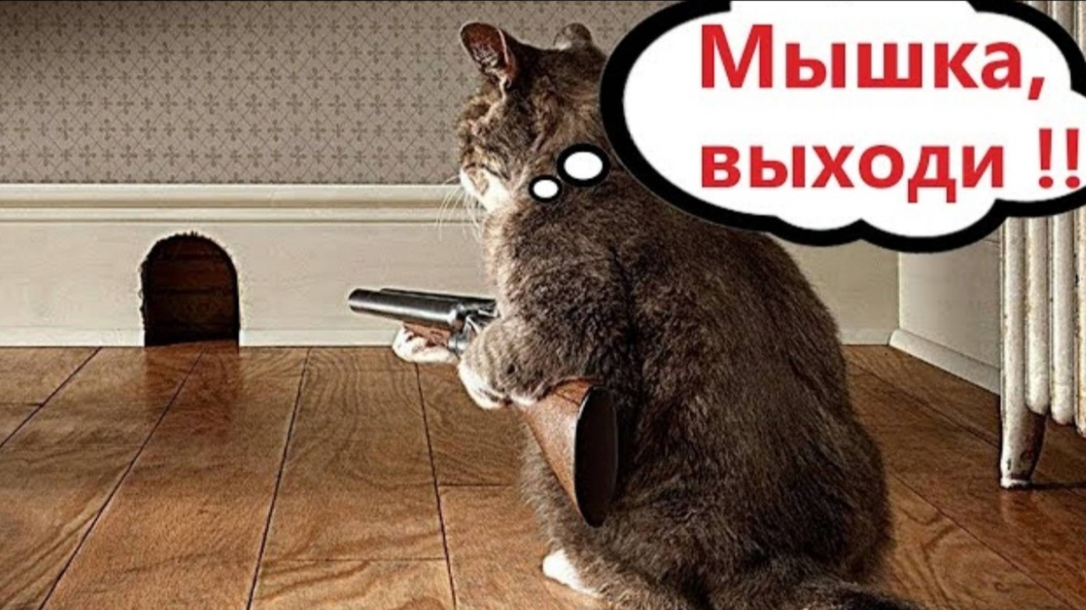 ПРИКОЛЫ С КОТАМИ Самая смешная озвучка животных СМЕШНЫЕ КОТЫ