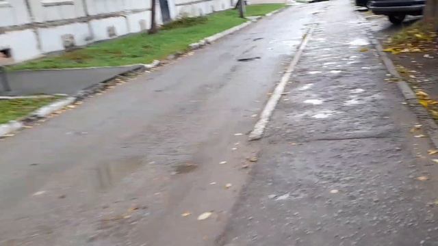 На Даче.СОБРАЛИ ОПЯТ ОСЕННИХ.УРОЖАЙ ГРУШИ СЛАДКОЙ КАК ДЫНЯ
