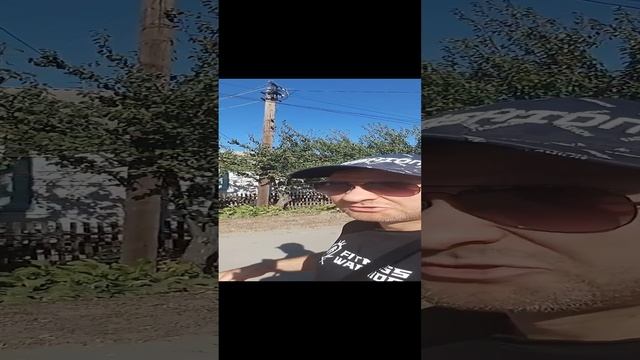 желудок