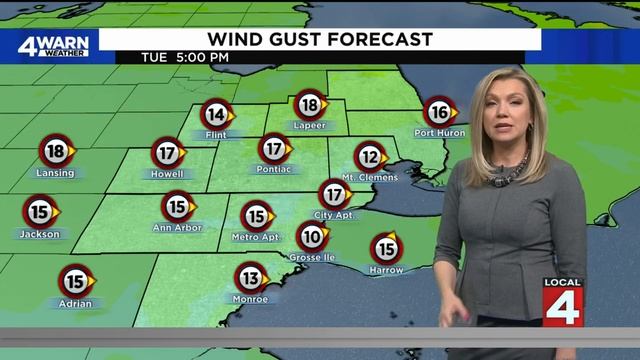 Mild Tuesday before more snow, rain arrive in Michigan this week: Here's the latest