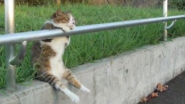 Я пожалуй тут посижу