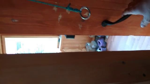 «…Дерни за веревочку, дитя мое, дверь и откроется...»