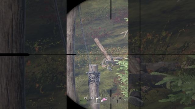 Беззаботные жители края карты в #DayZ