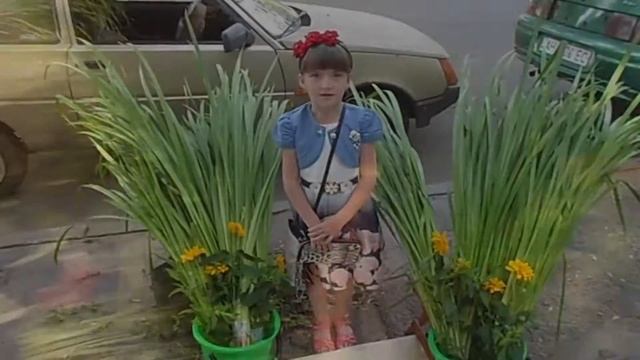 Уроки бизнеса - продаем татар зелья на  "зеленые святки"