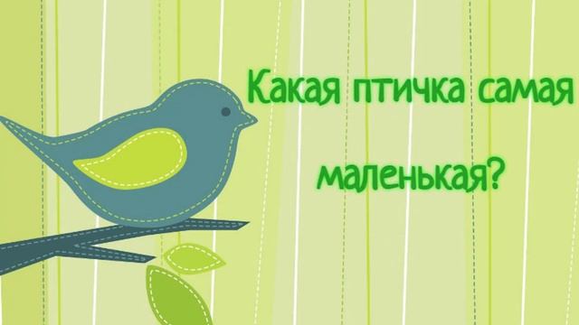 С Международным днём птиц