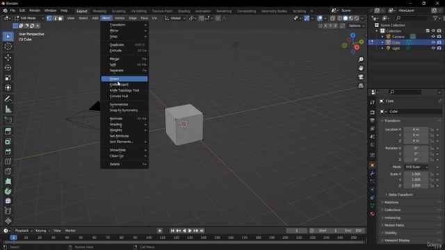 18. Intro to Mesh Tools. BLENDER FOR BEGINNERS by Bowas Muke