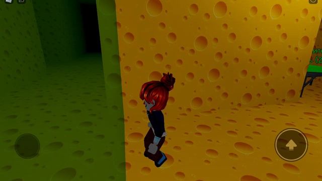 1000027044.mp4