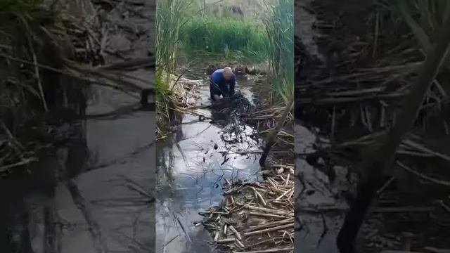 рыбалка