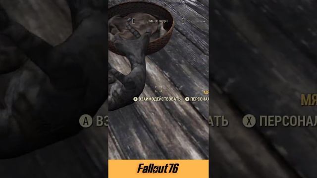 Fallout 76 🐶 питомцы на ПТС