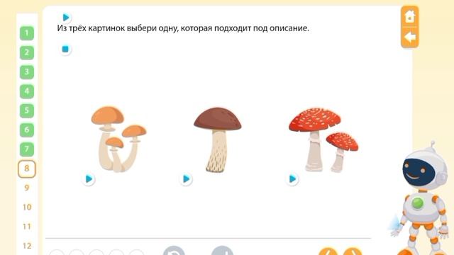 ДАРЫ ПРИРОДЫ