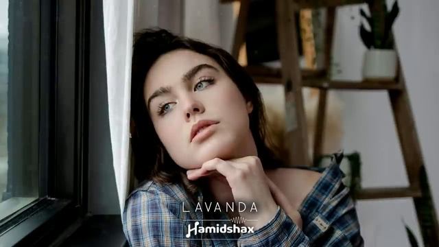 Hamidshax - [ _Лаванда_ ]