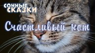 Сонные сказки | счастливый кот | для сна | тихий мужской голос