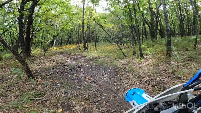Заречное тренировка 24.09.24