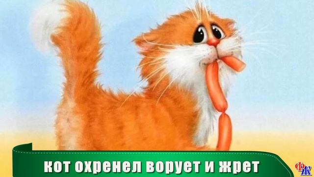 КОТ Борзель висел за окном на сетке со смерзшимся уловом – висел и жрал