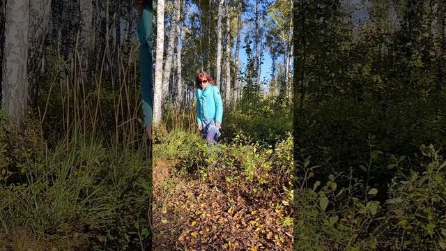 неугомонная женщина в осеннем лесу скачет под Марина Журавлёва