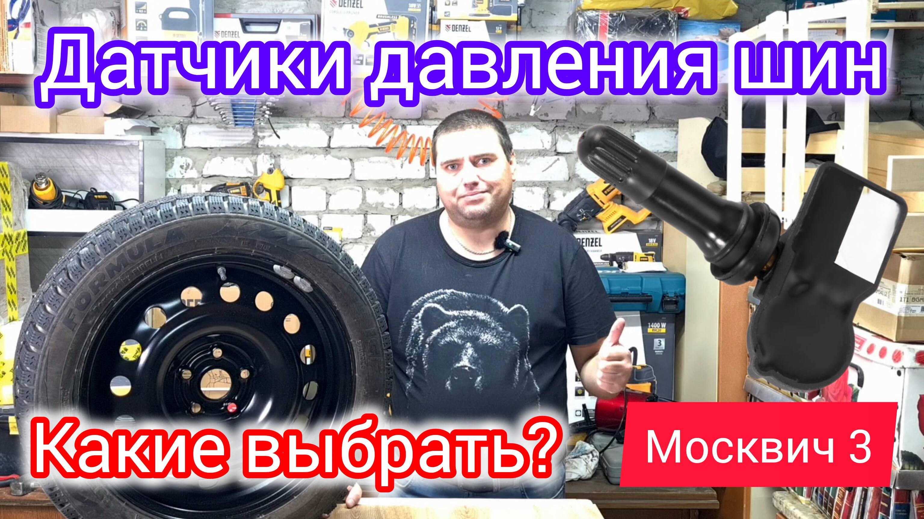 Датчики шин какие выбрать и как прописать на Москвич 3 (JAC JS4)