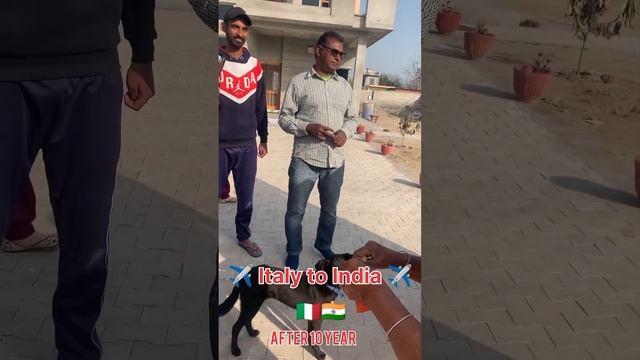 ✈️🇮🇹Italy to India 🇮🇳 ✈️ after 10 year Jassal family 🤗 mera sohna pind Aiman jattan daljeet singh,🇮