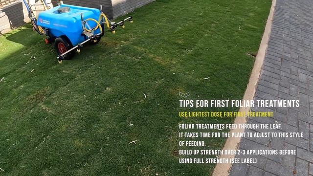 New Lawn? Tips for the FIRST MOW!