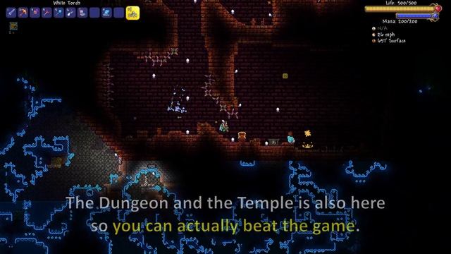 Terraria and the Circular World ─ Surviving in TerraPlanet..?