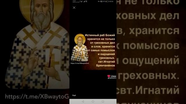 Like_7420560868479752450.mp4