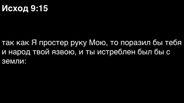 День 17. Библия за год. Книга Исход. Главы 8-10.