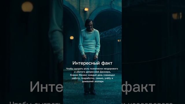 Интересный факт