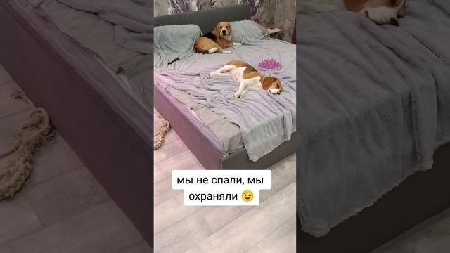 1000014602.mp4