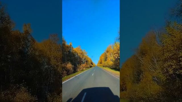 золотая осень🍂🍁🌞🌻🌾