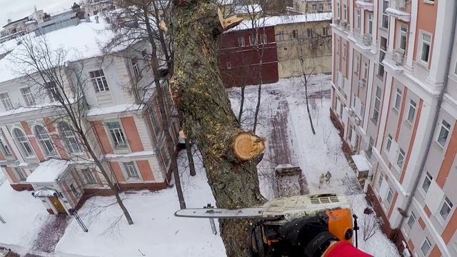 Удаление деревьев в стеснённых условиях