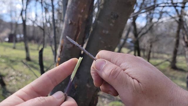 Altoirea cu burghiul! Adevar sau minciuna?