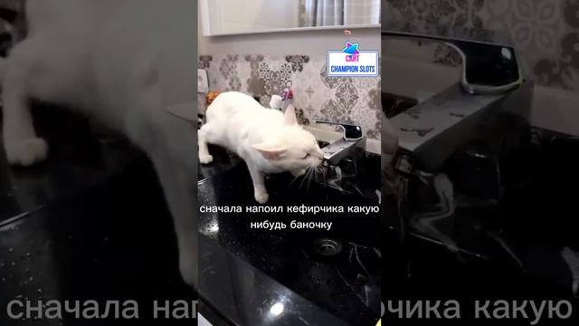 Студенты и еда