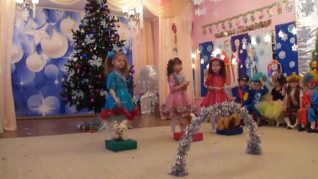 дрессировщицы и собачки