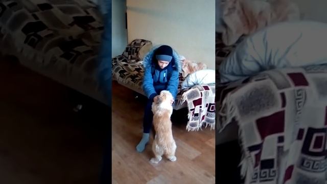 27 ноября 2019 г.