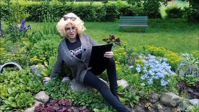 Школьная реклама :)