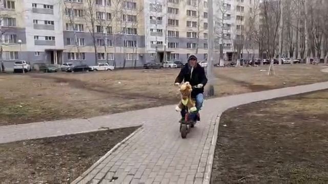 Галопом от вируса