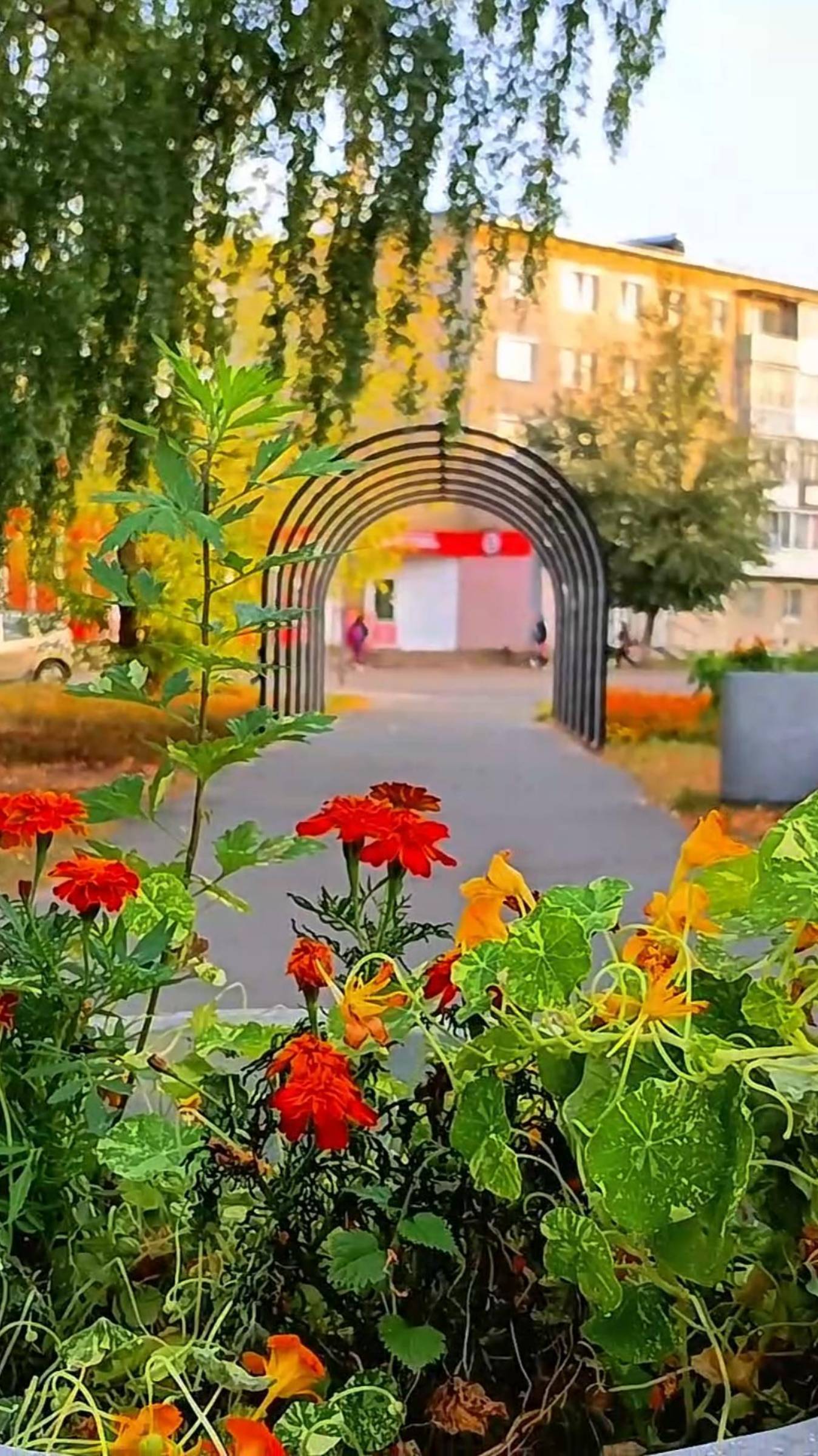Очарована околдована - Котлас Коряжма