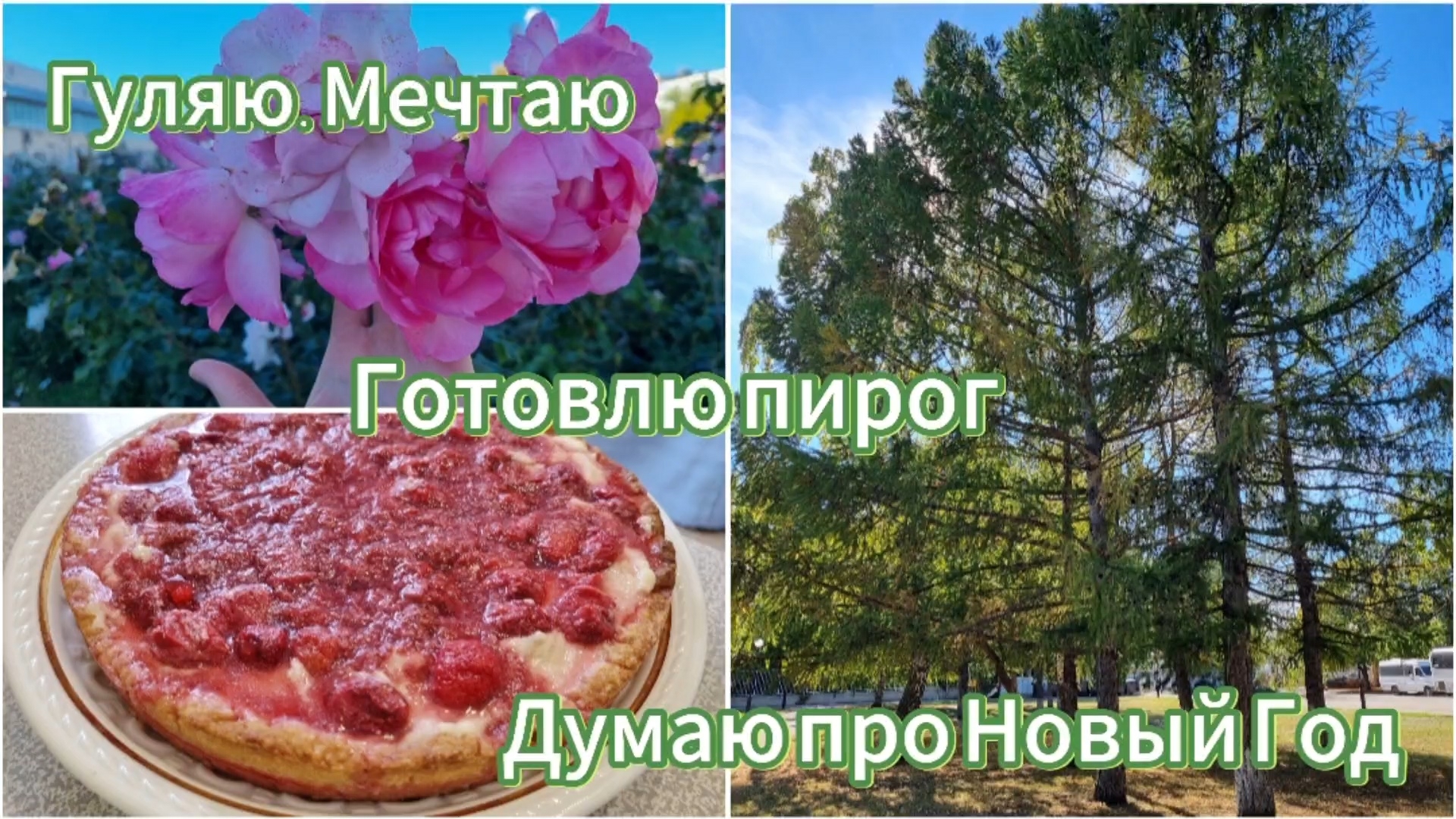 Готовлю Тирольский пирог. Думаю про Новый Год. Гуляем по набережной Тольятти и в парке Победы.