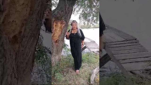 это я,Арина Сальма про фестиваль в Краснодаре 26 и 27 октября 2024 год