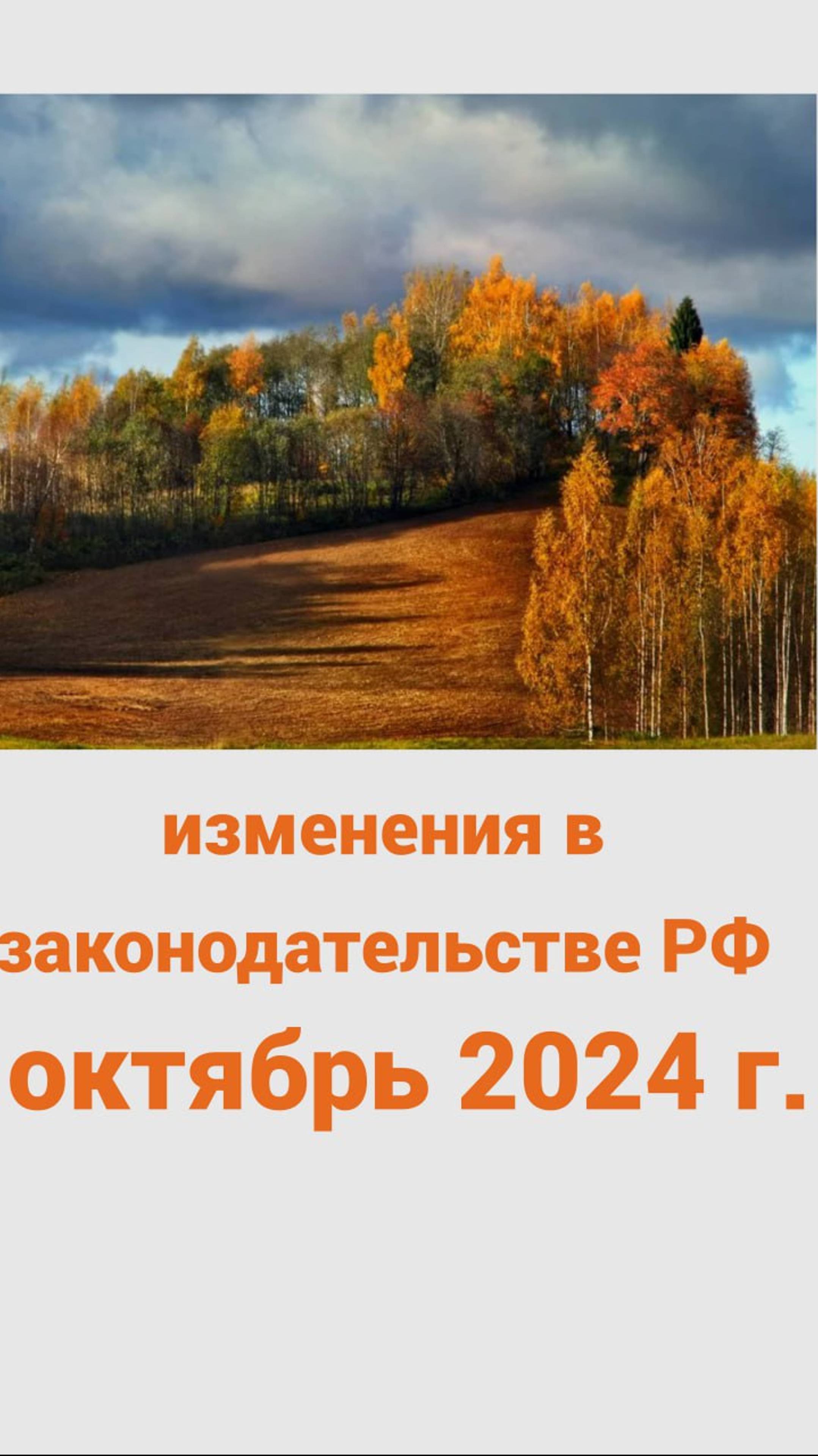 Новые законы РФ, октябрь 2024 г.