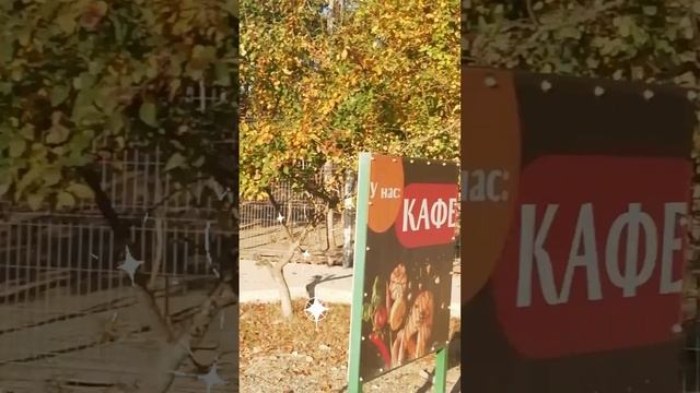 Иду на работу. 💞🖐️🖐️🖐️