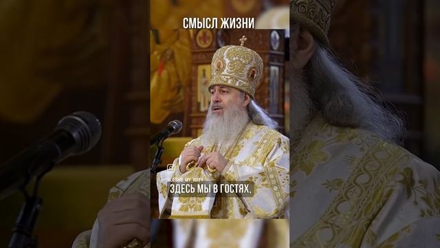 VID_145461005_203233_500.mp4