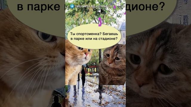 Утренний спорт #мыкотики #вмем #разговор #анекдот #шутки #кот #юмор #смешное #прикольно #мемы #cat