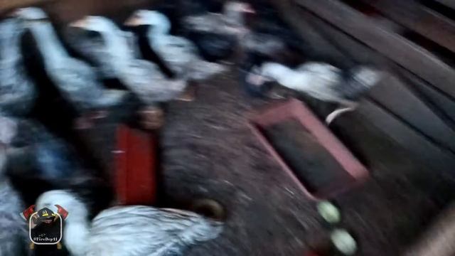 Пожар в Усть-Ивановке 03.09.2021
