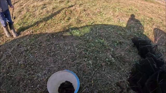 8 дней раколовки простояли в воде. Какой результат
