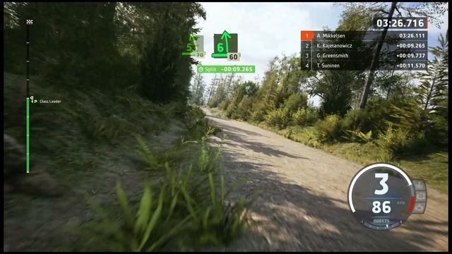 EA SPORT WRC, ралли гонка