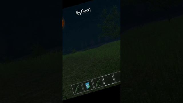 скулбой помидор 2