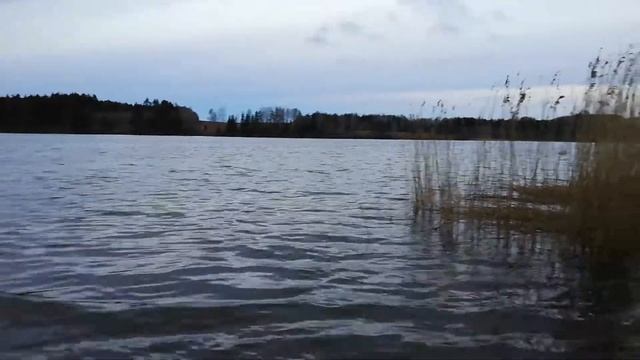 Впервые на Тетеринском водохранилище