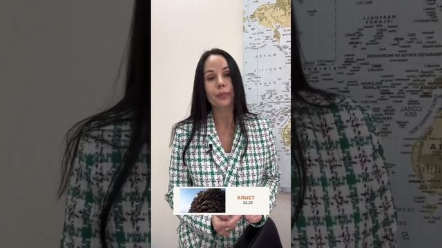 Что регистрируется в системе ЛесЕГАИС?