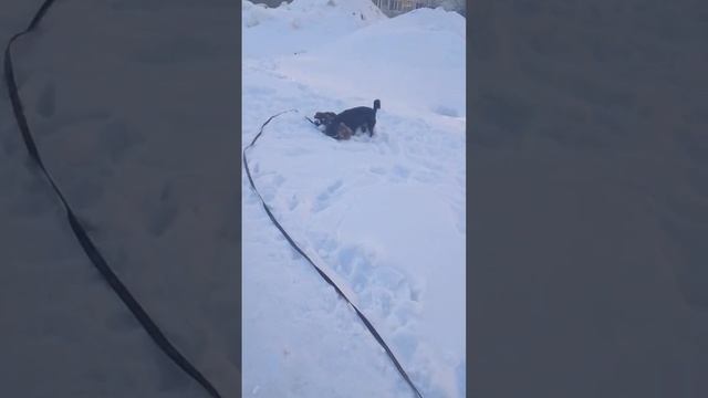 23 февраля 2024 г.